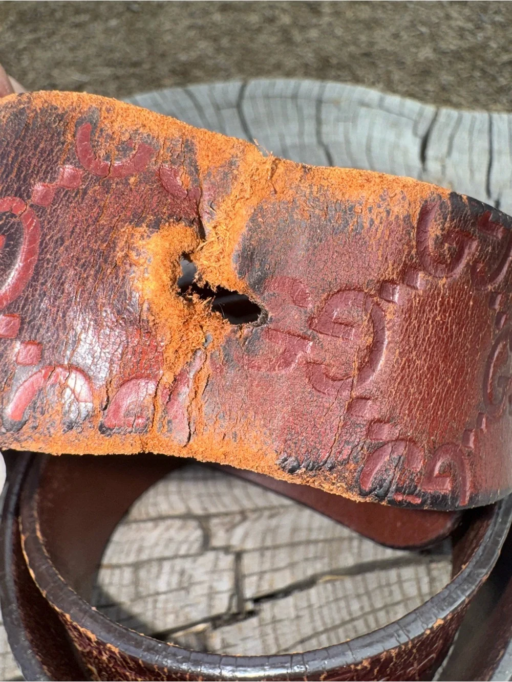 Gucci Brown Leather Belt with Silver-Tone Buckle